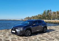 Lexus NX UX 250h Sport