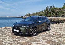 Lexus NX UX 250h Sport