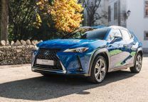 Lexus NX 300e Luxury +TAE +J